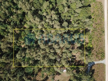 Działka budowlana z lasem - Grabieniec