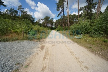 Działka budowlana z lasem - Grabieniec