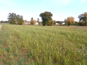 Ślesin &ndash; Sprzedam działkę budowlaną