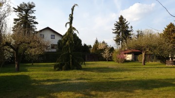 Działka w Kole - Koło