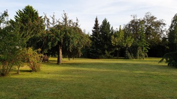 Działka w Kole - Koło