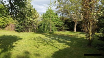 Działka w Kole - Koło