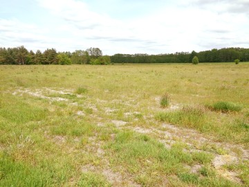 Działki Budowlane Żychlin