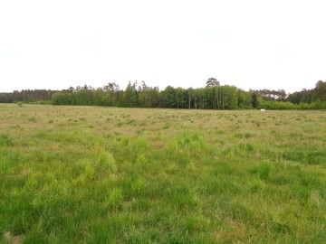 Działki Budowlane Żychlin