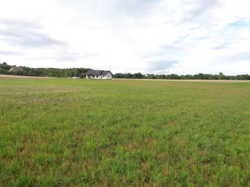 Gmina Ślesin – Działki Budowlane w pobliżu lasów