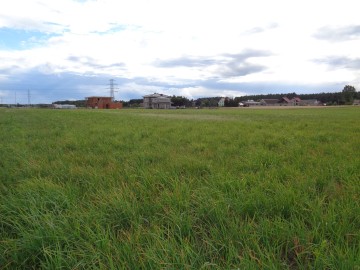 Gmina Ślesin – Działki Budowlane w pobliżu lasów