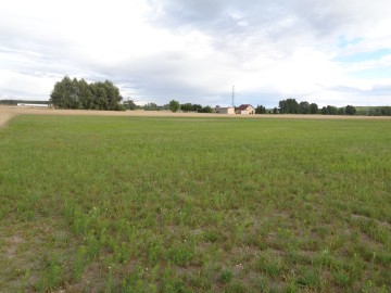 Gmina Ślesin – Działki Budowlane w pobliżu lasów