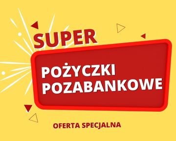 Szybkie pożyczki na raty online