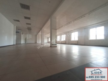 Wynajmę lokale handlowo &ndash; usługowe od 70 - 600m2 w Kole