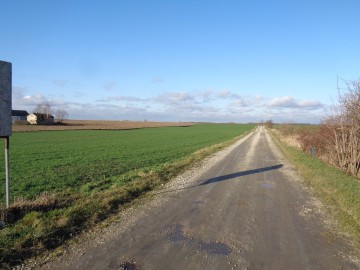 Grunt Rolny okolice Sompolna/Izbicy Kujawskiej