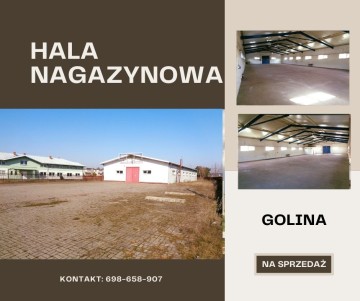 Golina &ndash; Hala Produkcyjno/Magazynowa