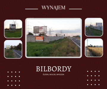 Ślesin/Skulsk/Wygoda &ndash; Bilbordy Reklamowe