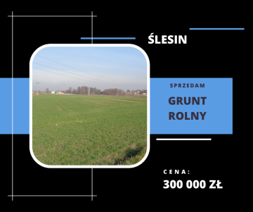 Grunt Rolny Gmina Ślesin