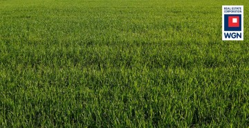 NIEDŹWIADY MAŁE - PILNIE POSZUKUJEMY DZIAŁEK