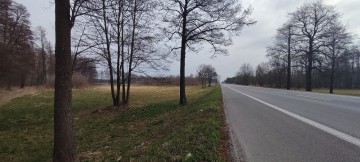 Działka Inwestycyjna &ndash; Trasa nr 92