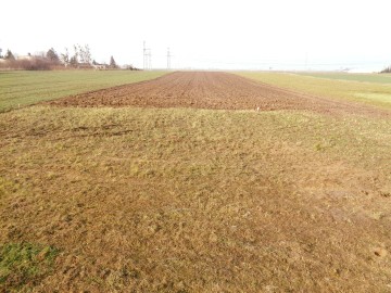 Ślesin – Sprzedam działki budowlane