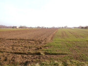 Ślesin – Sprzedam działki budowlane