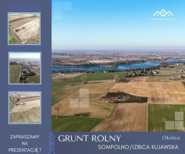 Grunt Rolny okolice Sompolna/Izbicy Kujawskiej