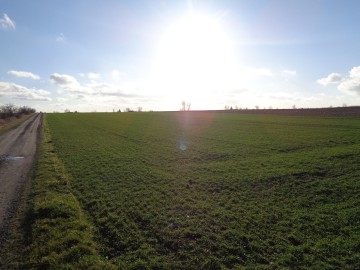 Grunt Rolny okolice Sompolna/Izbicy Kujawskiej
