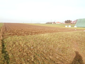 Ślesin &ndash; Sprzedam działki budowlane