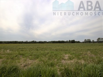 Działki rolne o powierzchni 1,24 ha - Bądk&oacute;w Pierwszy