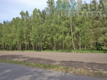 Działki rolne o powierzchni 1,24 ha - Bądk&oacute;w Pierwszy