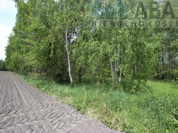 Działki rolne o powierzchni 1,24 ha - Bądk&oacute;w Pierwszy