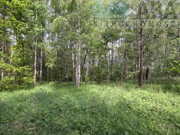 Działki rolne o powierzchni 1,24 ha - Bądk&oacute;w Pierwszy