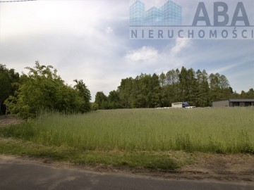 Działki rolne o powierzchni 1,24 ha - Bądk&oacute;w Pierwszy