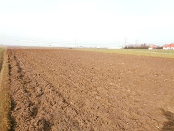 Ślesin – Sprzedam działki budowlane