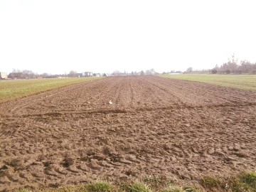 Ślesin – Sprzedam działki budowlane