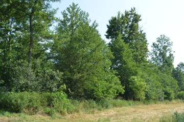 Sprzedam gospodarstwo rolne 2,3672 ha z domem i budyniem