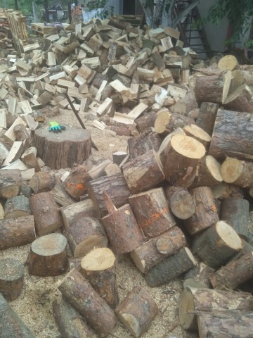 Oferuję koszenie, rabanie cięcie drewna, malowanie ogrodzeń