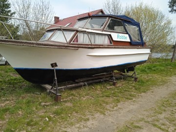 Oferuję koszenie, rabanie cięcie drewna, malowanie ogrodzeń