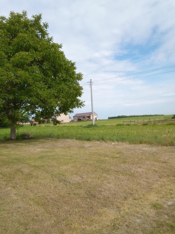 Oferuje wnoszenie węgla, sprzątanie piwnic, dzialek