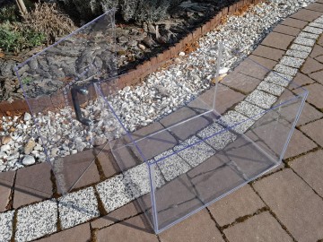 Terrarium do owad&oacute;w patyczak&ograve;w, pająk&ograve;w itp.