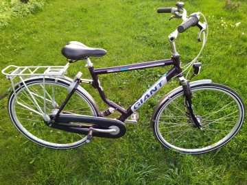 Rower męski Giant Cambera 28 Alu Nexus 7