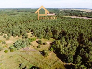 Działka rolna 5,49ha Zaryń gmina Wierzbinek