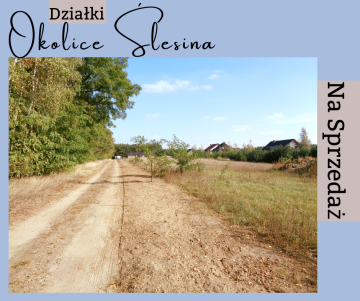 Okolice Ślesina &ndash; Działki Budowlane