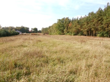 Okolice Ślesina &ndash; Działki Budowlane