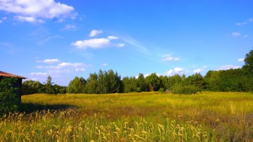 Działka na sprzedaż pod działalność gospodarczą i budowę prz