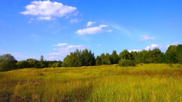 Działka na sprzedaż pod działalność gospodarczą i budowę prz