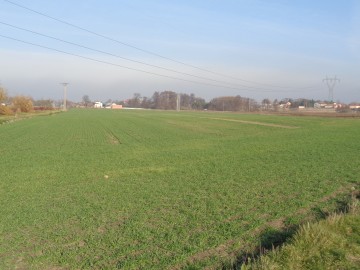 Sprzedam grunt rolny w Gminie Ślesinie o powierzchni 2,01 ha