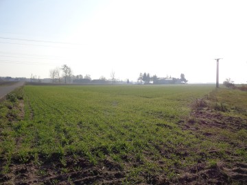 Sprzedam grunt rolny w Gminie Ślesinie o powierzchni 2,01 ha