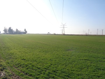 Sprzedam grunt rolny w Gminie Ślesinie o powierzchni 2,01 ha