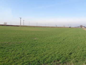 Sprzedam grunt rolny w Gminie Ślesinie o powierzchni 2,01 ha