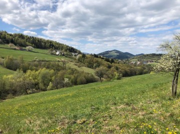 Działka budowlana w Pasierbcu z widokiem na Beskid Wyspowy