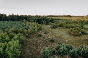 Na sprzedaż działki budowlane z zadrzewieniem - Kol. Lipiny