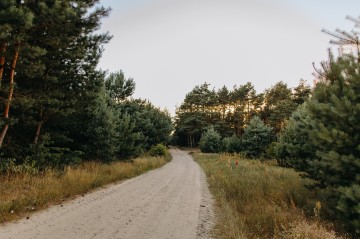 Na sprzedaż działki budowlane z zadrzewieniem - Kol. Lipiny