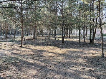 Na sprzedaż działki budowlane z zadrzewieniem - Kol. Lipiny